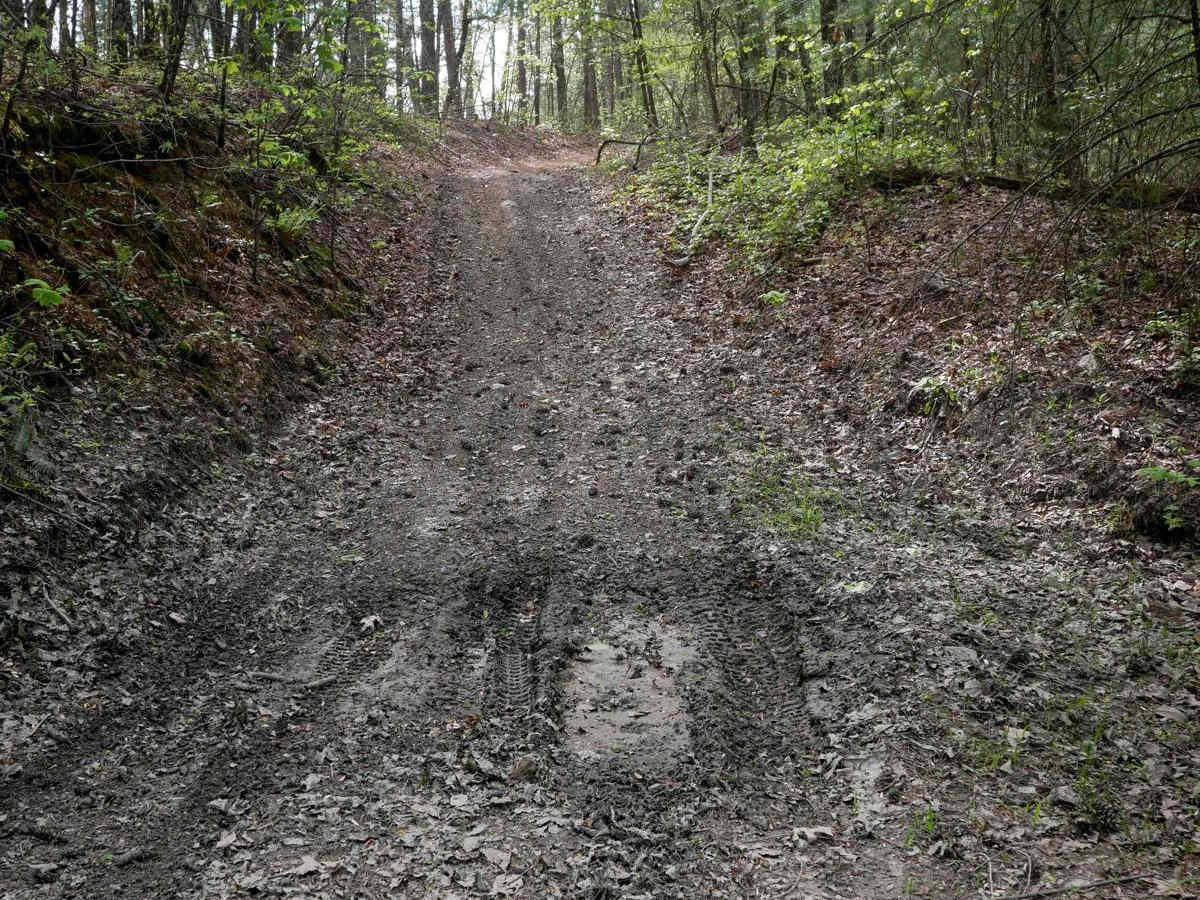 Tibbs ATV photo 4