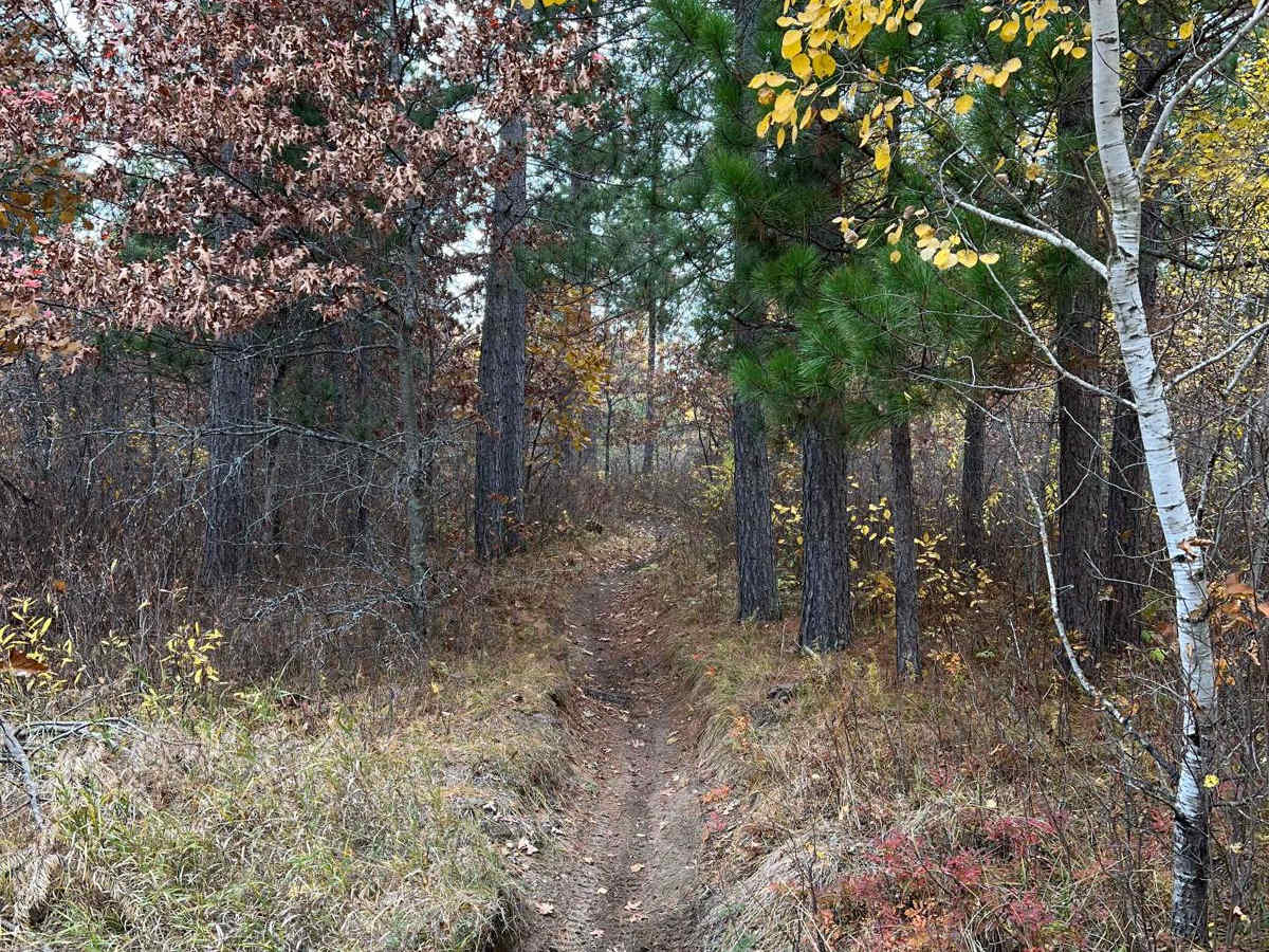 Finn Lake Loop trail photo