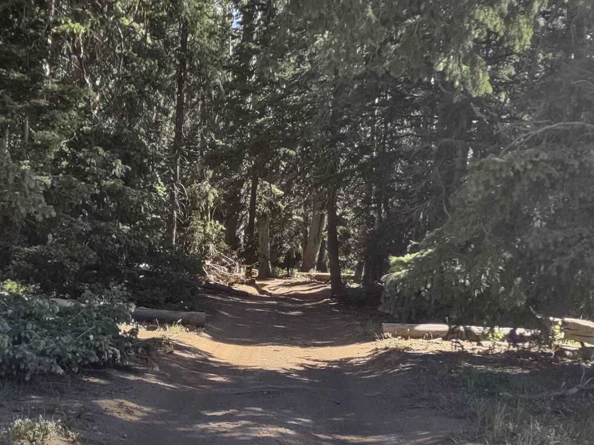 Big Flat Long Flat (FS 40581/Paiute D-3/Trail 1A) photo 2