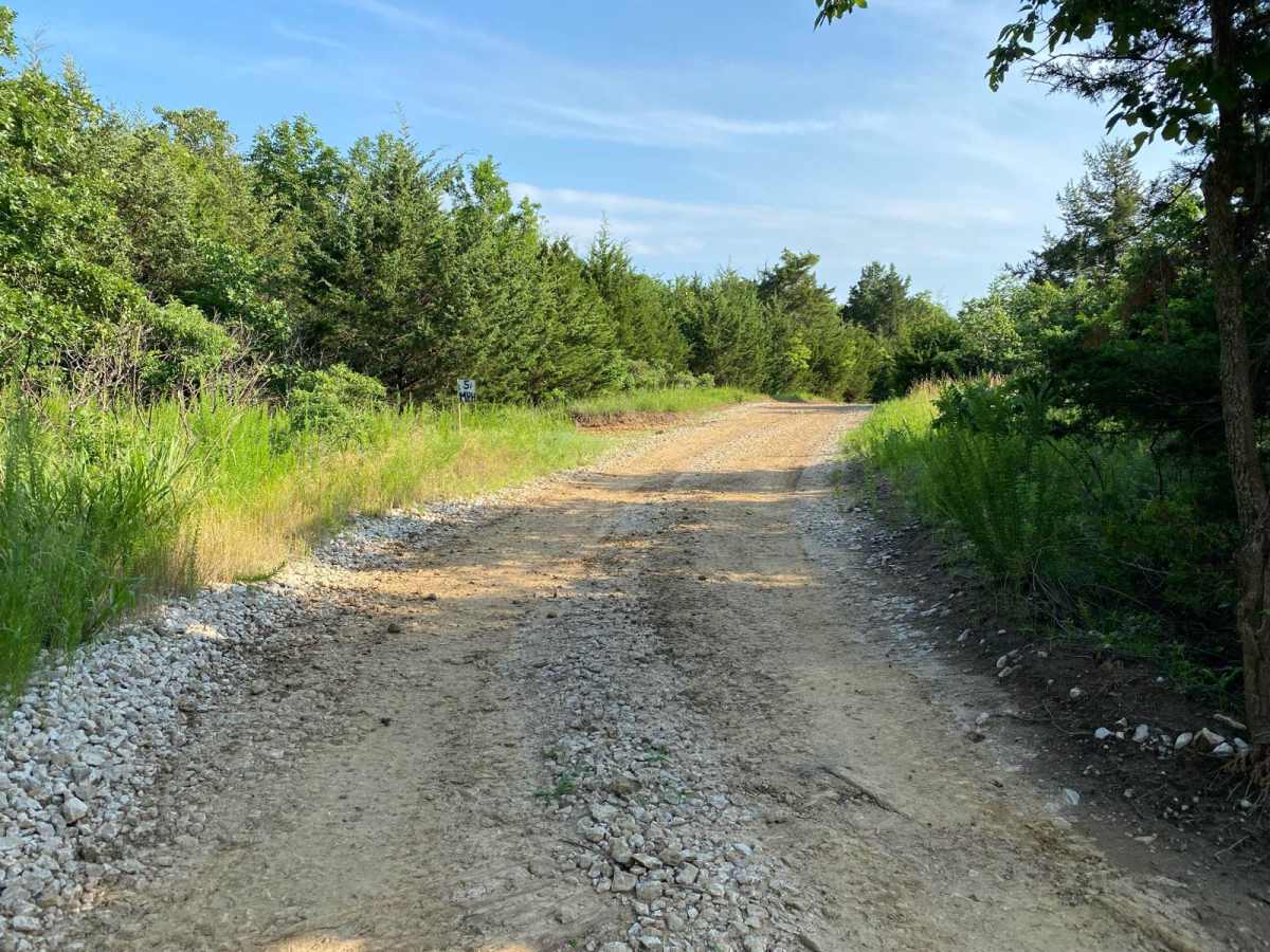 Main Loop trail photo
