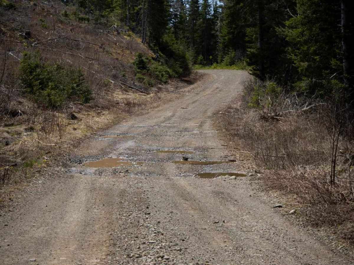 Island Lake West Trail photo 5