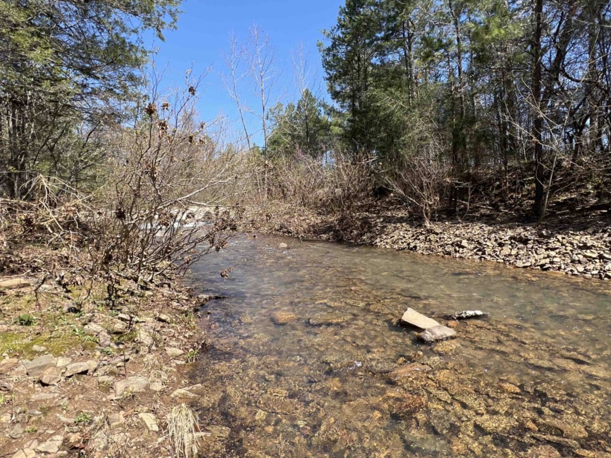 Liberty Springs 1334 photo 4