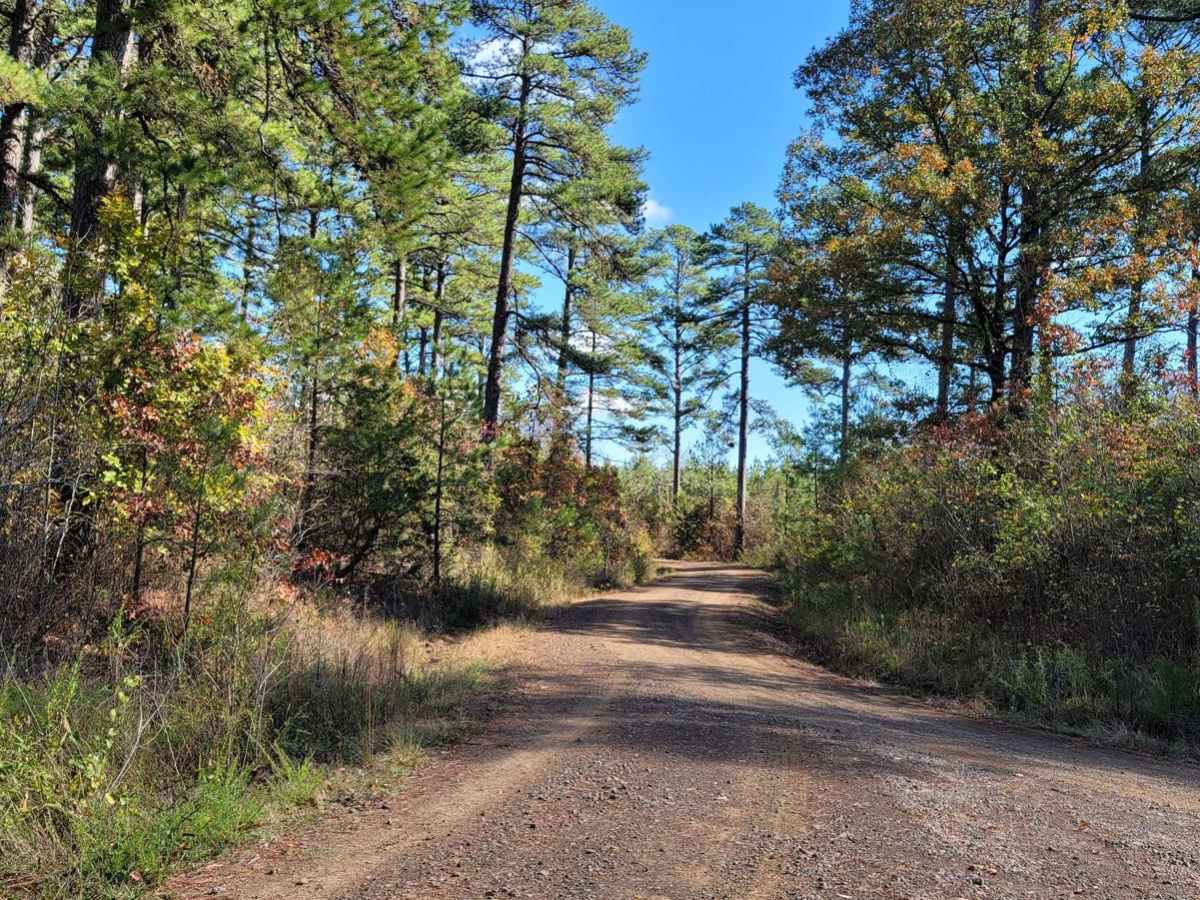 Poteau Mountain And Rail Tracks photo 2
