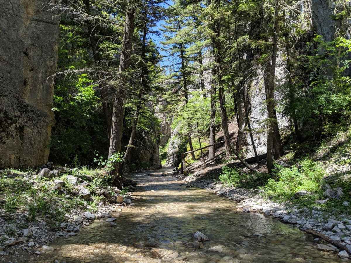 Haymaker Narrows trail photo