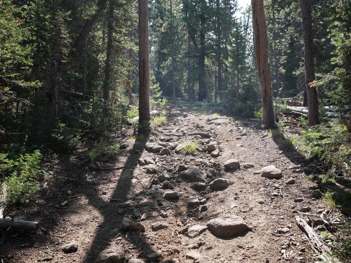 Buster Lake ATV photo 4