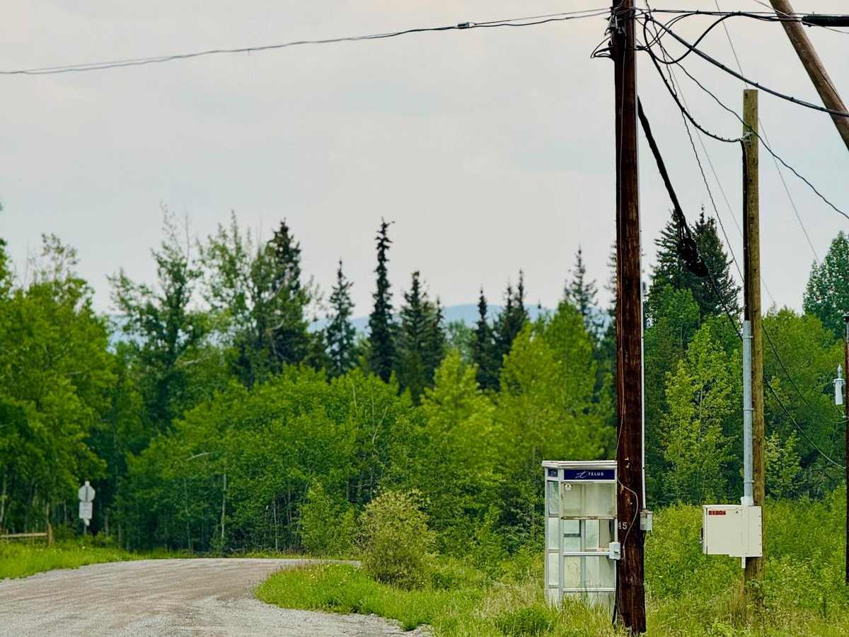 Big Creek Road photo 4