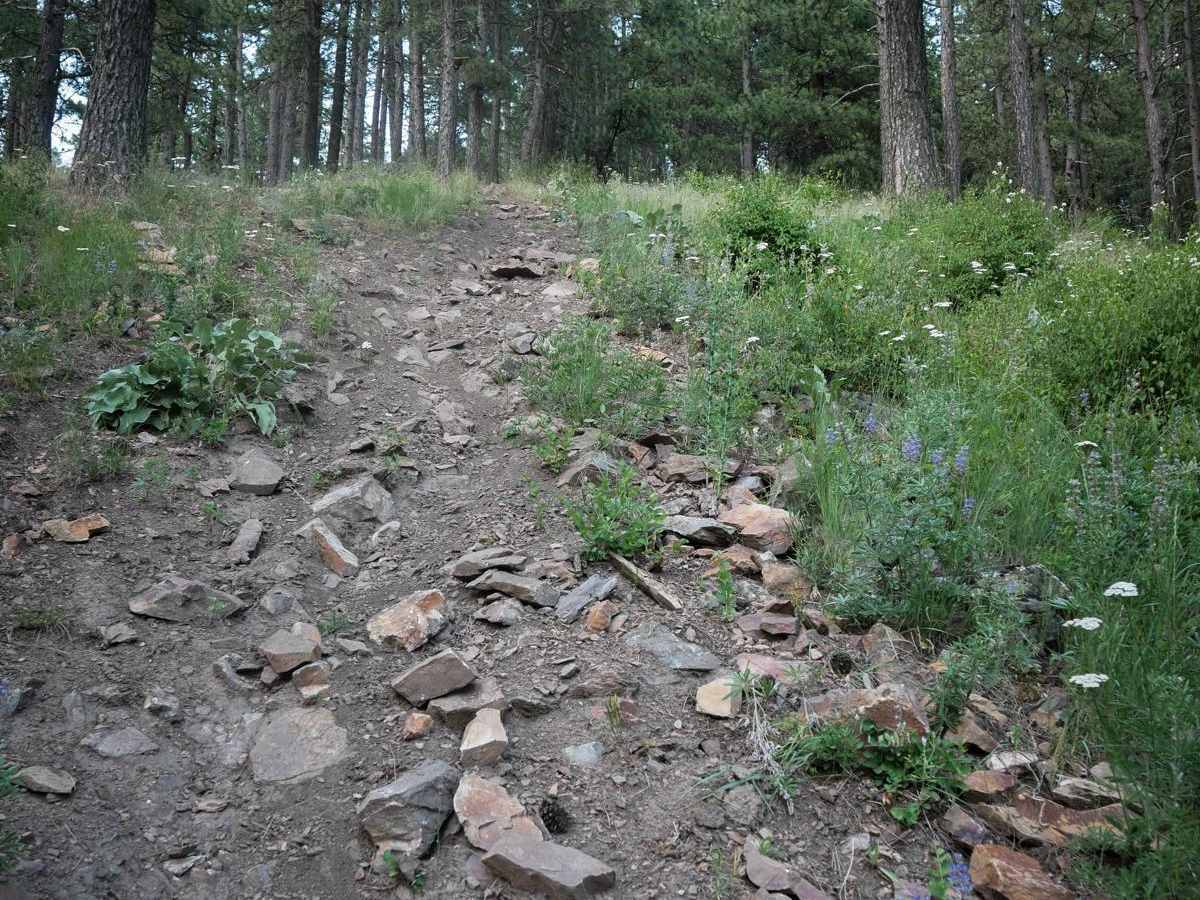 Canfield Mountain- Trail 3 photo 2