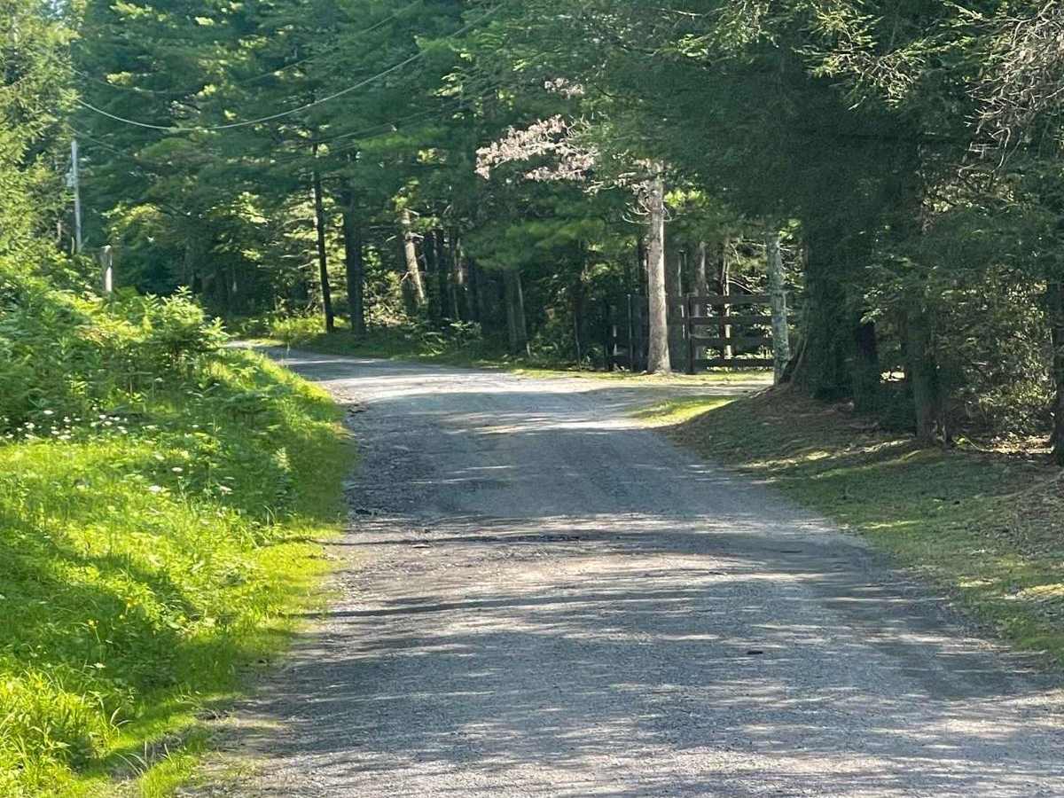 Browns Run Road photo 3