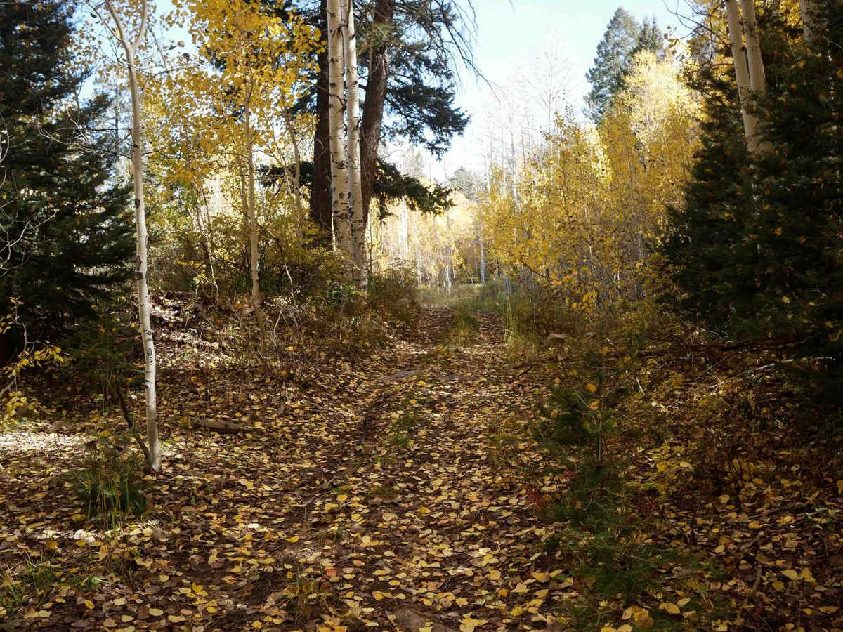 Horse Creek photo 2