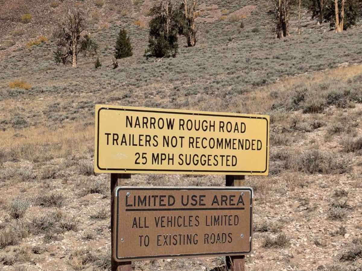 White Mountain Road photo 2