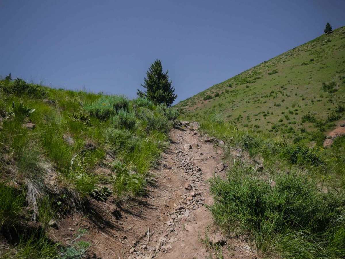 Cow Creek photo 3