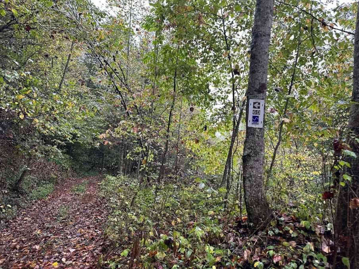 60 Blue trail photo