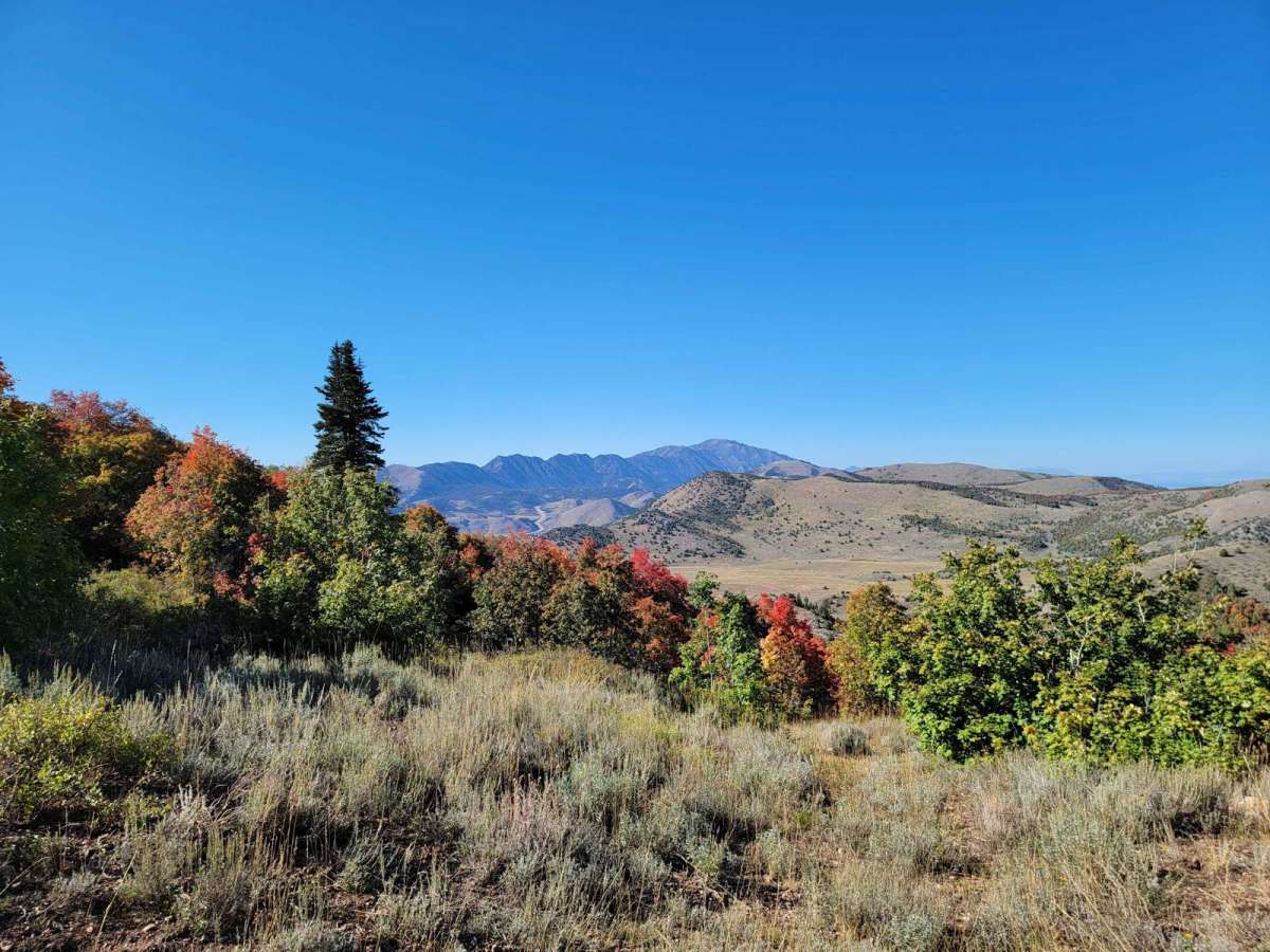 Three Mile Canyon Trail trail photo
