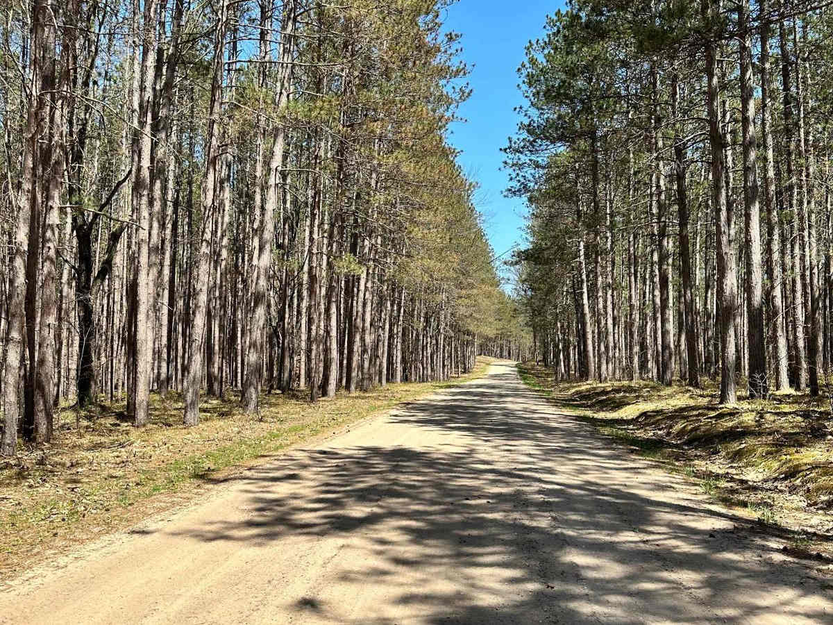 Cadillac Area ORV/OHV Scenic Ride - Part 16 trail photo