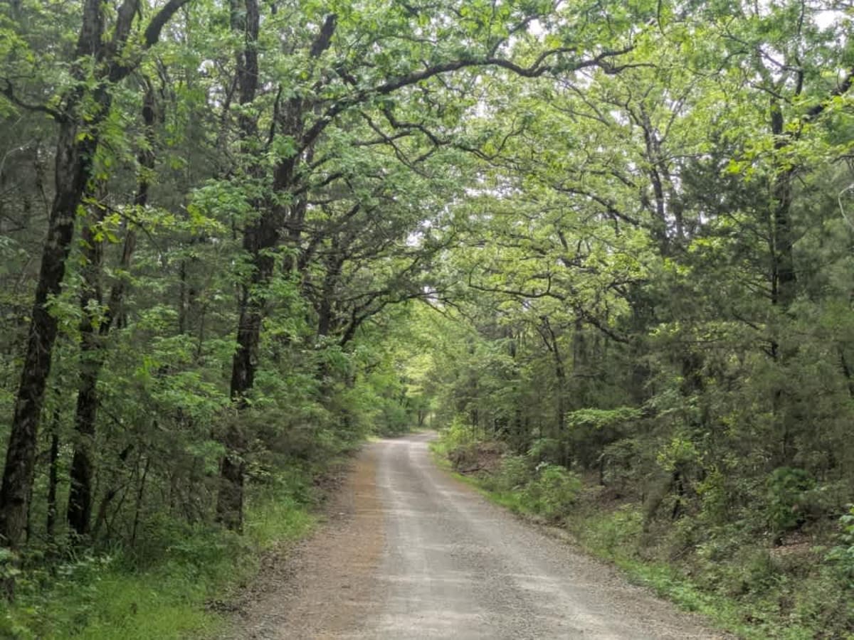 Lloyd Road photo 4