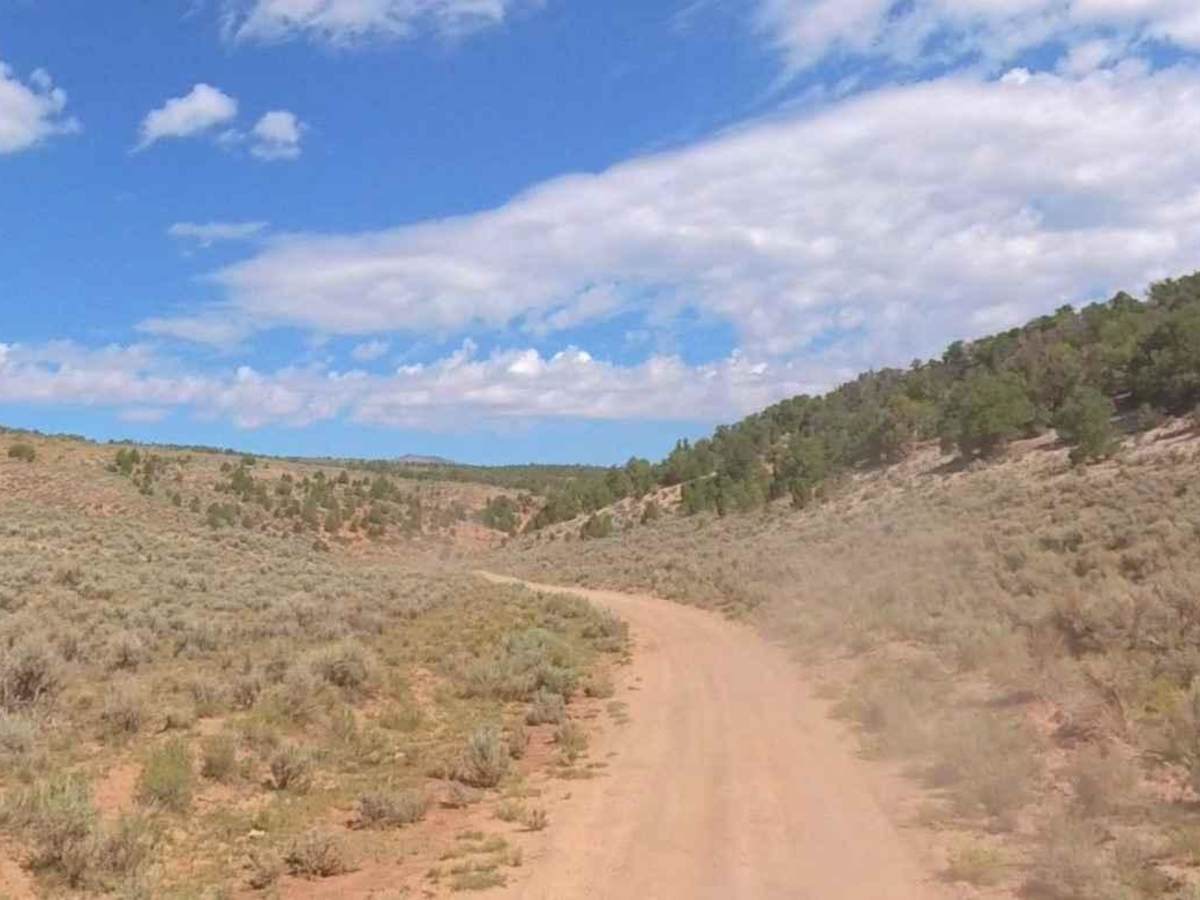Watts Mountain Road- FS 40111 photo 3