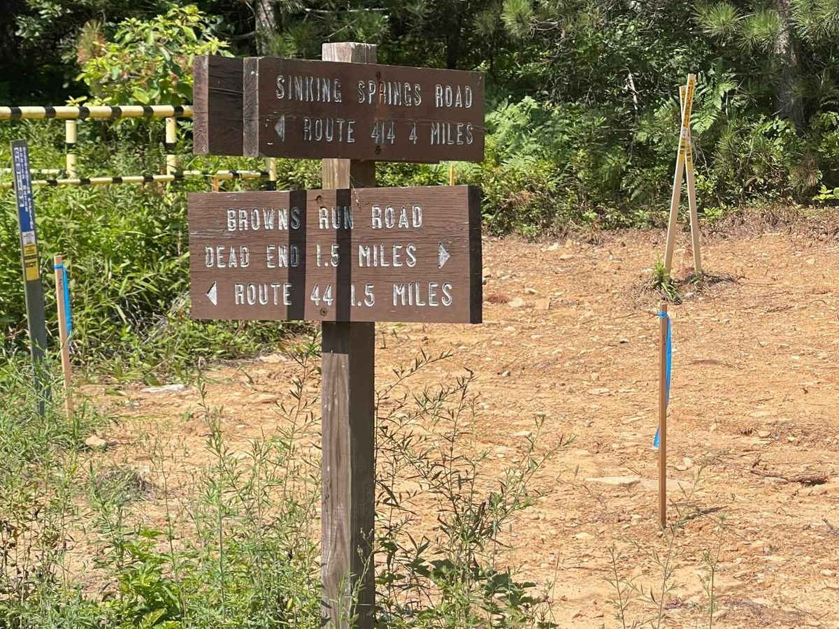 Sinking Springs Road trail photo