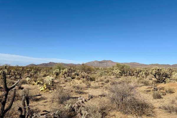 Western, East Willow Springs Road
