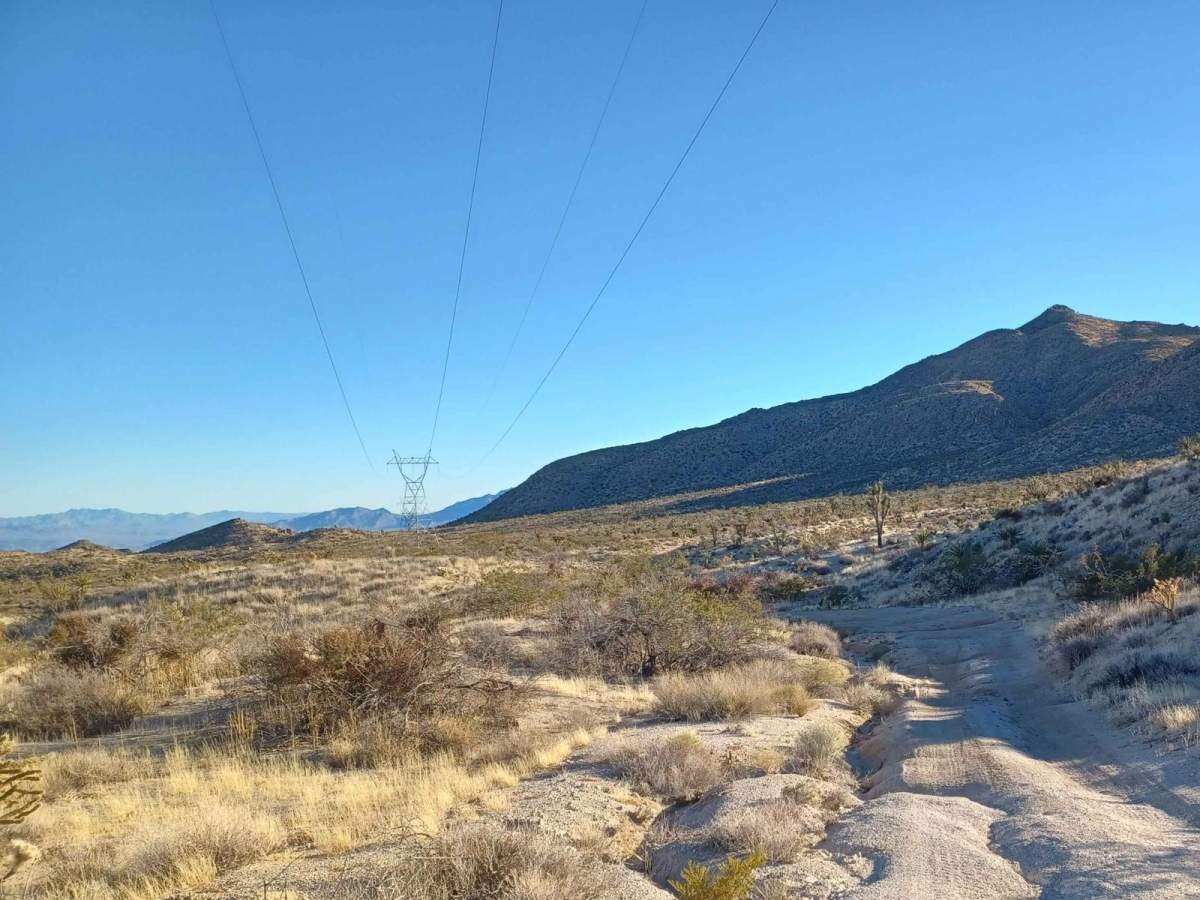 Mead Davis Power Road photo 5