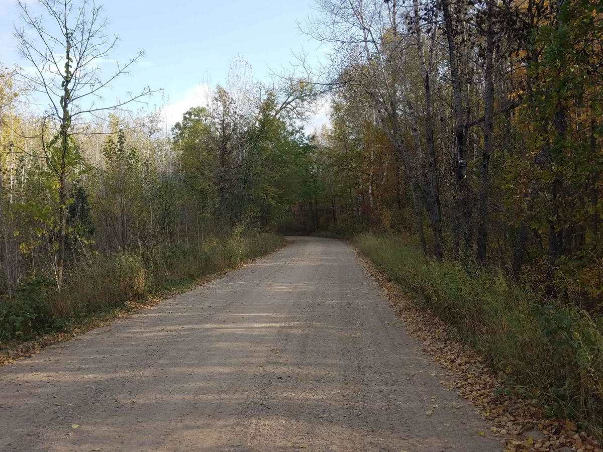 Inner Forest Road 4.6 photo 4