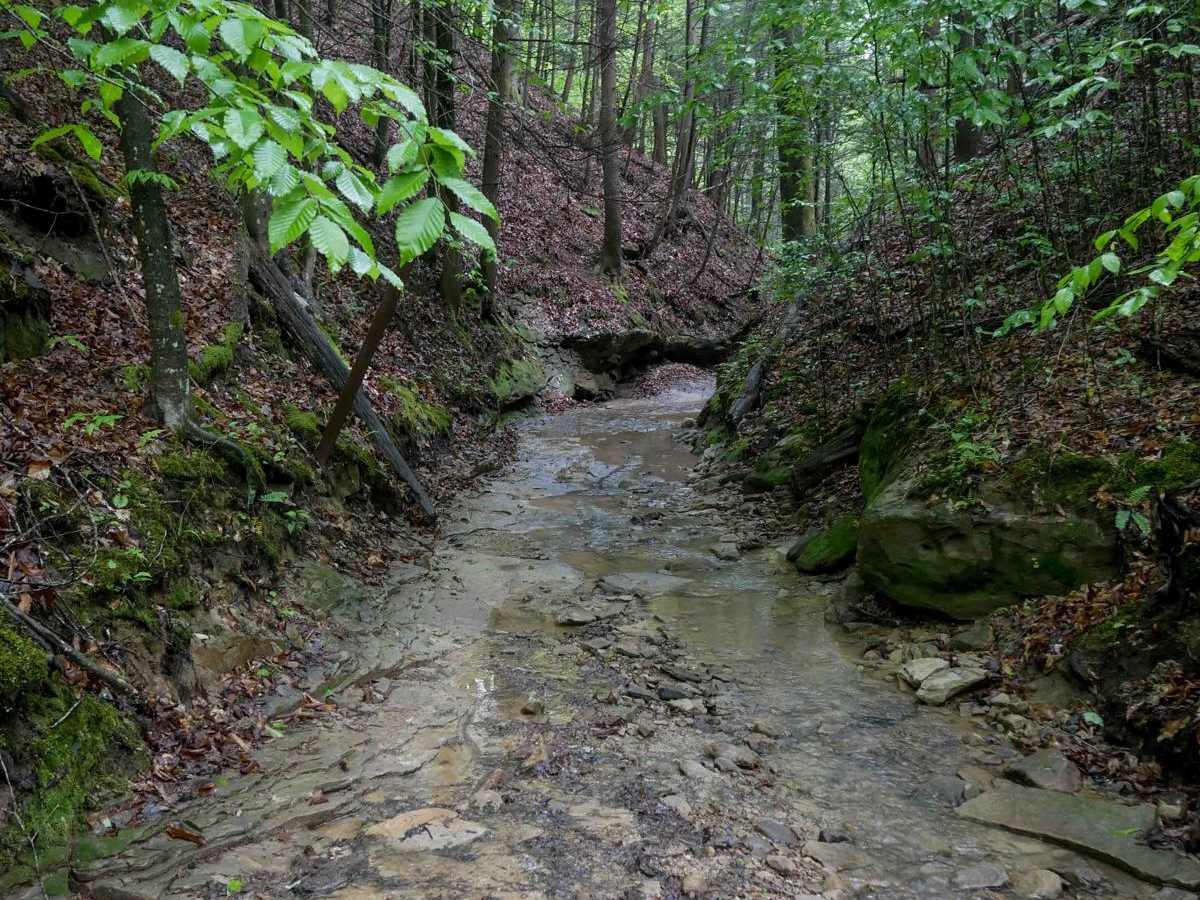 IB 79 trail photo