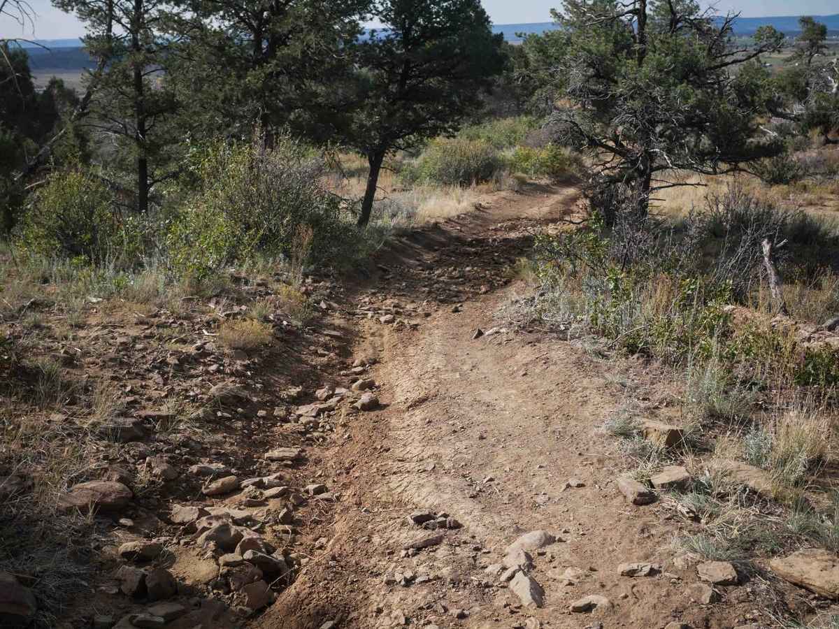 Ridge photo 4