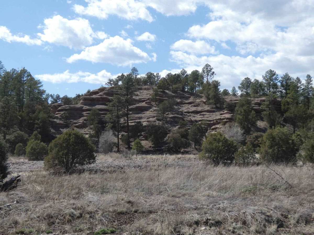 Mimbres River photo 4