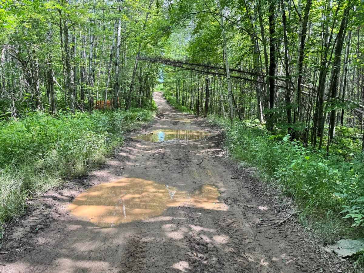 Leaf Lake Loop photo 2