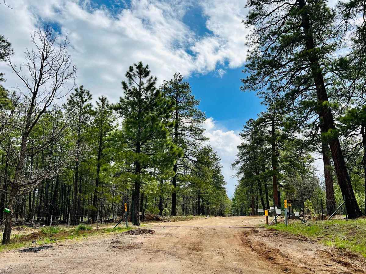 Potato Lake Rim Road photo 3