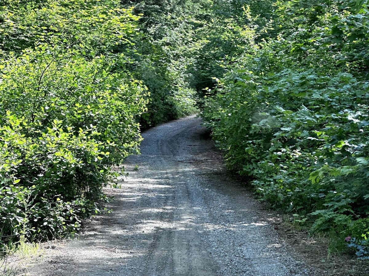 Second Creek Road photo 4
