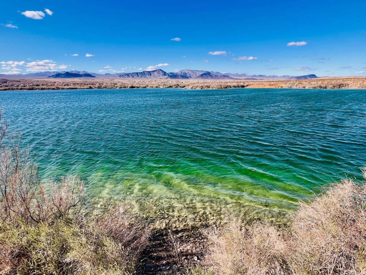 Carp Cove to Cottonwood Cove trail photo