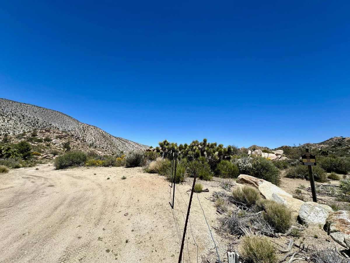 Cactus Flat - 3N62 photo 6