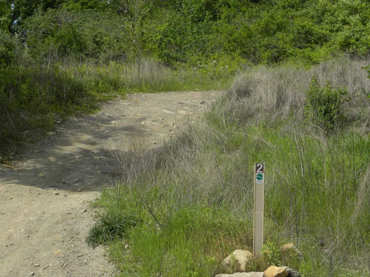 Trail 2 trail photo