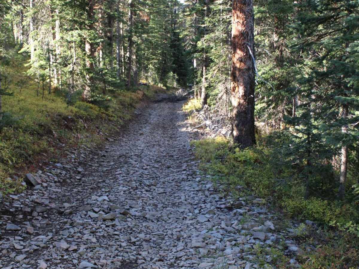 Beaver Creek Loop photo 6