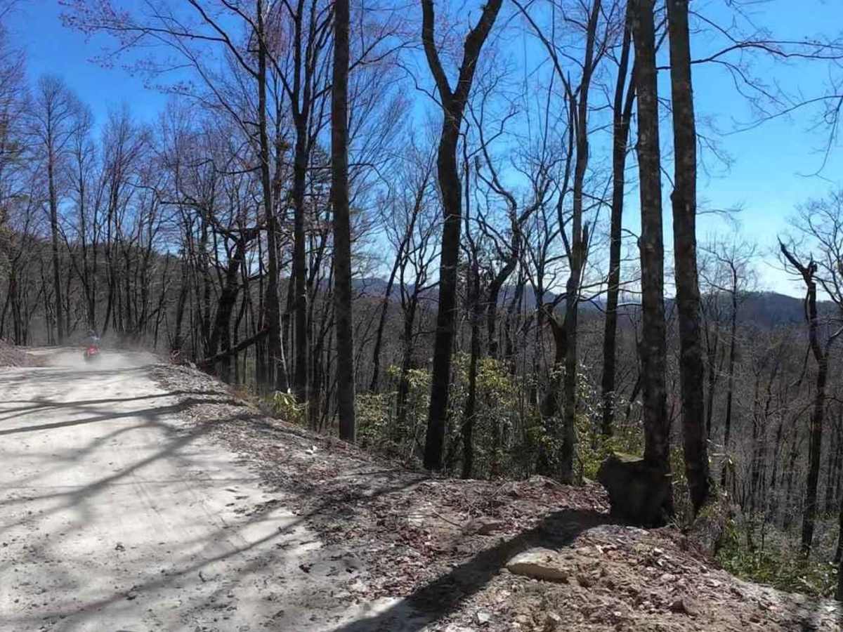 Canebrake Road trail photo