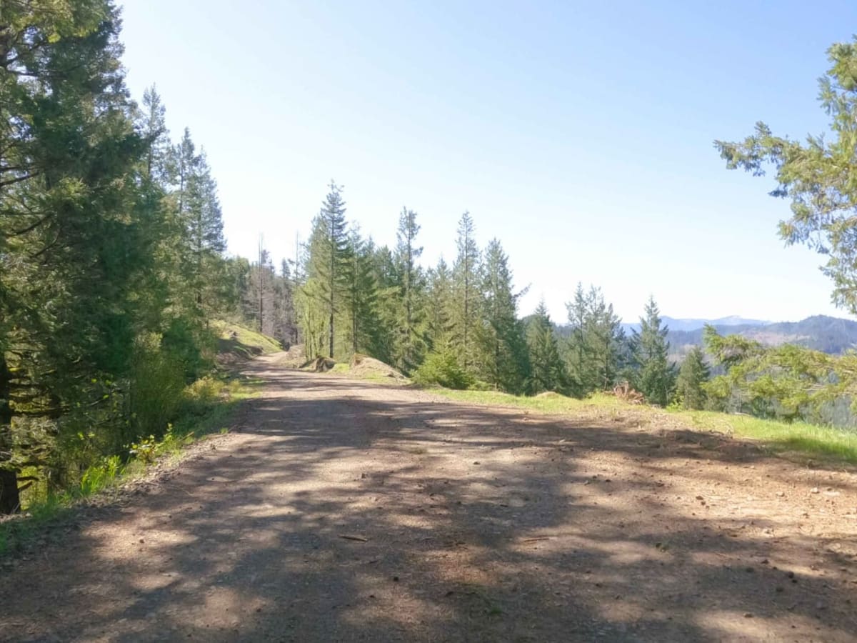 Cedar Butte Road photo 3