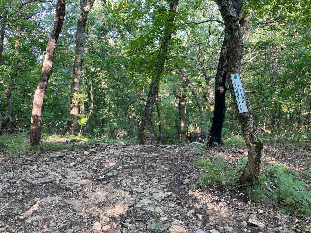Cloepfil's Climb trail photo