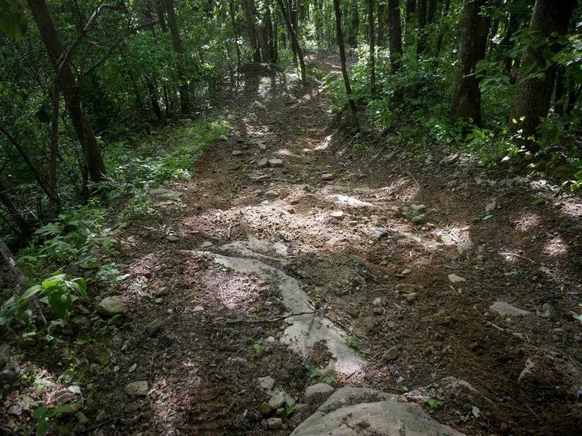 MV3 trail photo