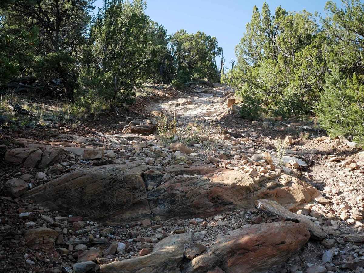 5830D trail photo