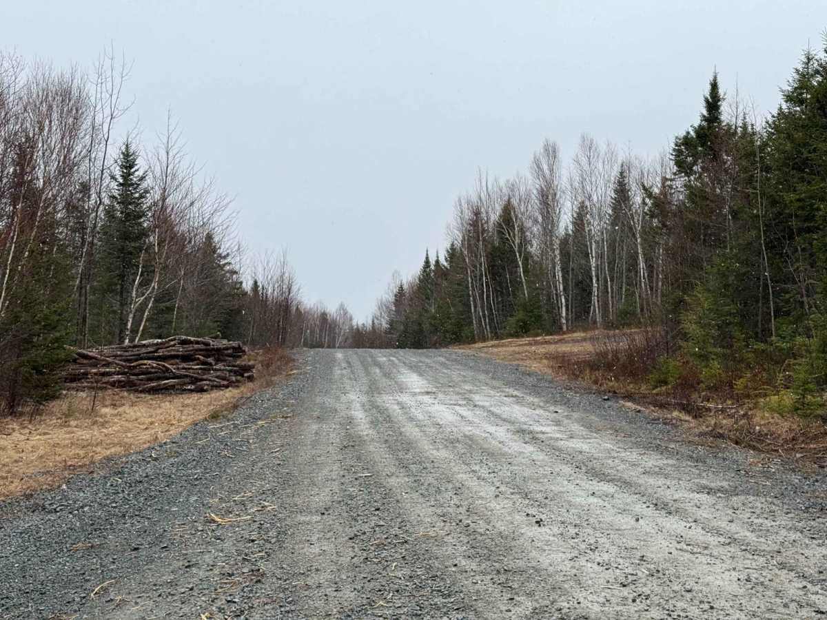 Renfrew Road photo 5
