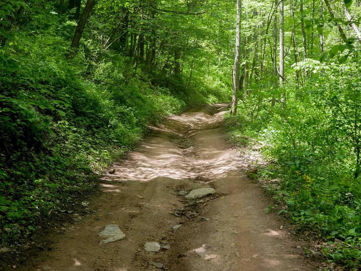 Trail 17 trail photo