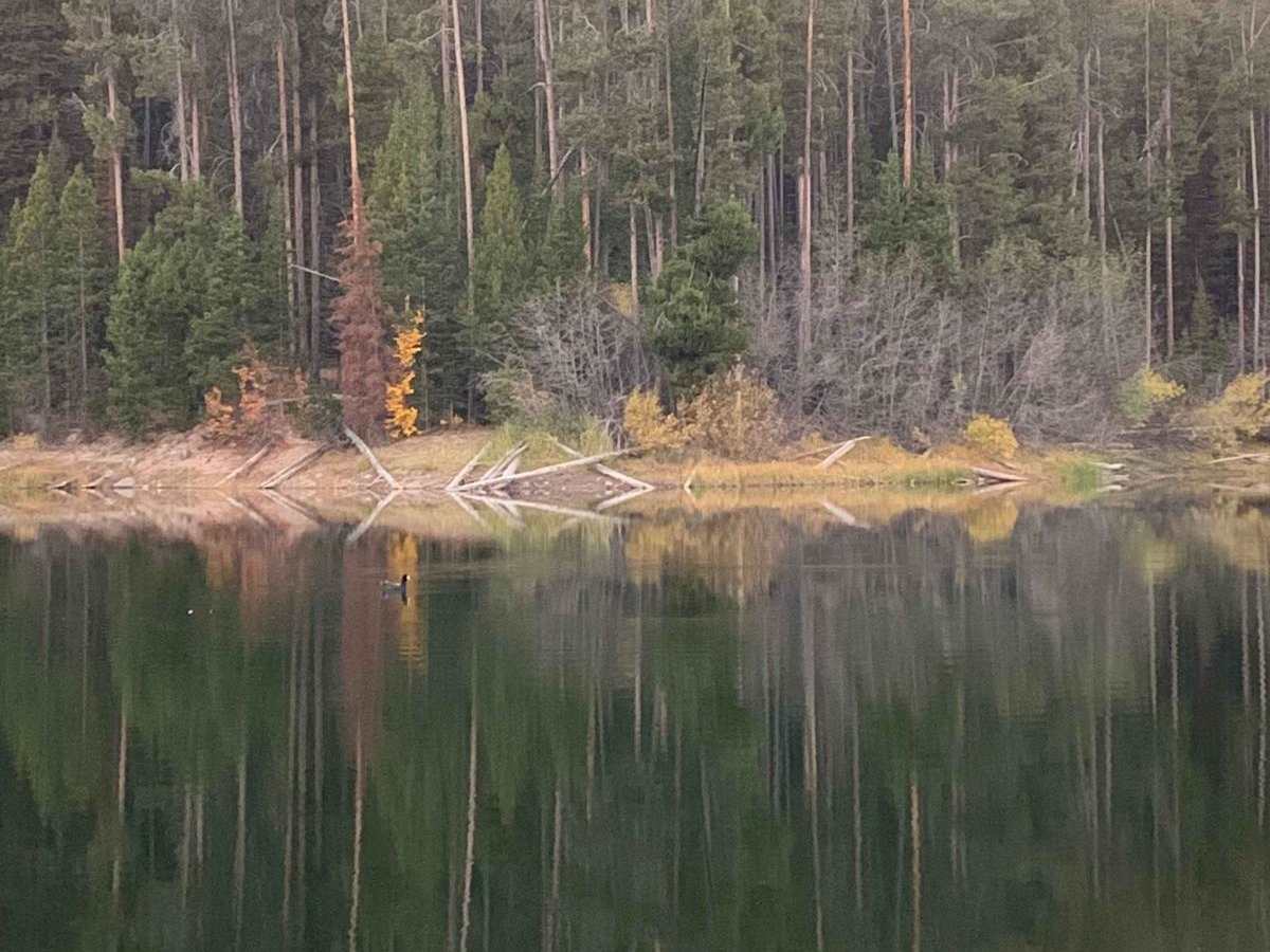 Packsaddle Lake photo 5