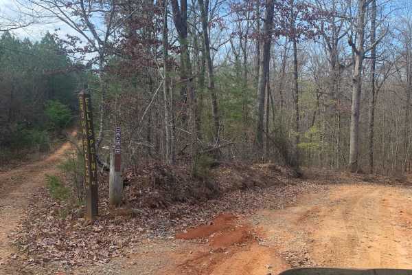 Ellis Pt/Bluff View Road