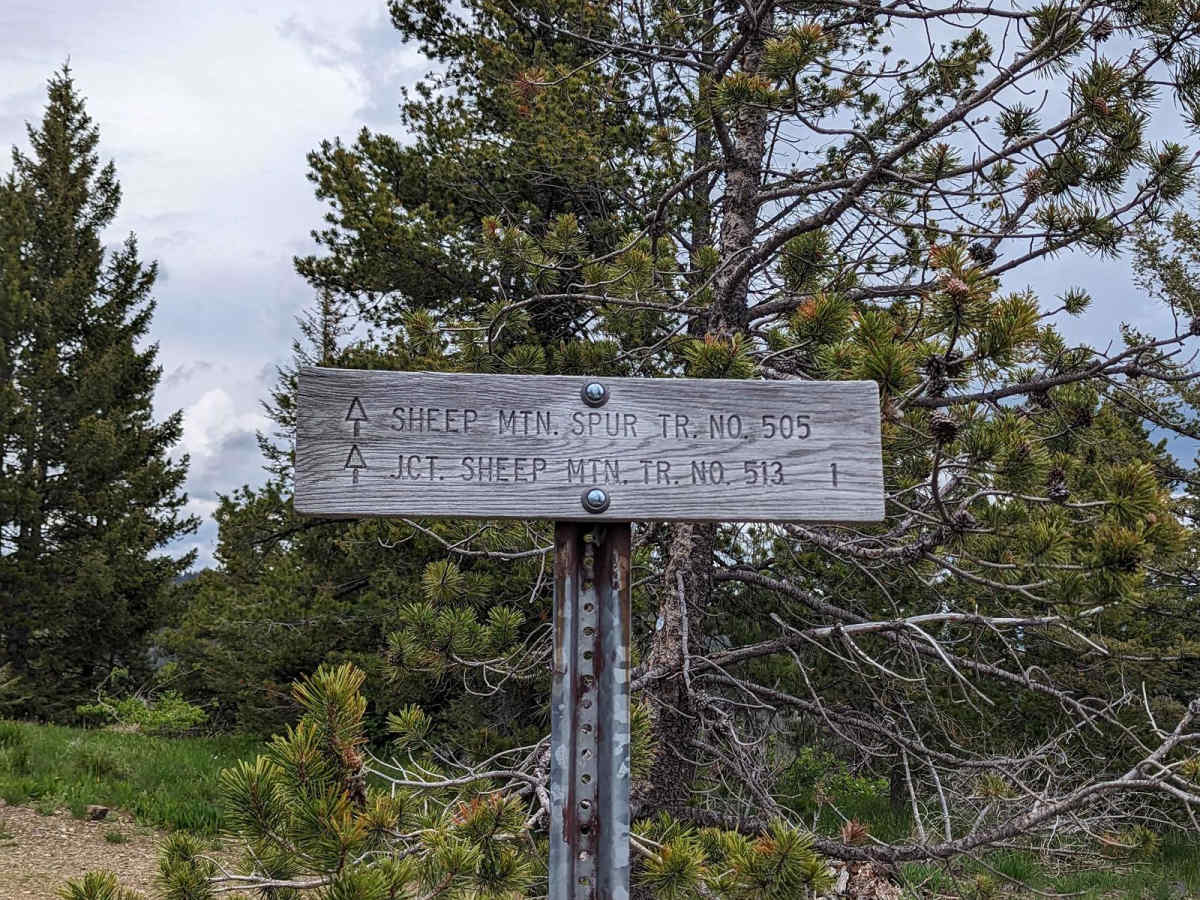 East Twin Creek Road 2117 (To Sheep Mountain hiking Trailhead) photo 2