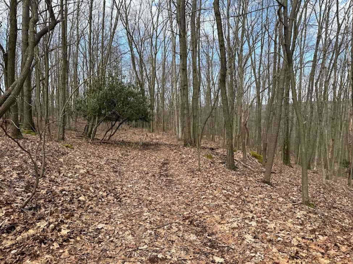 Ashland 128 photo 2