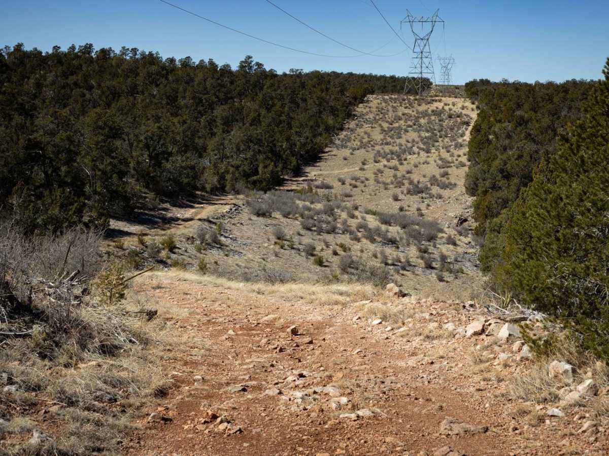 Powerline West photo 6