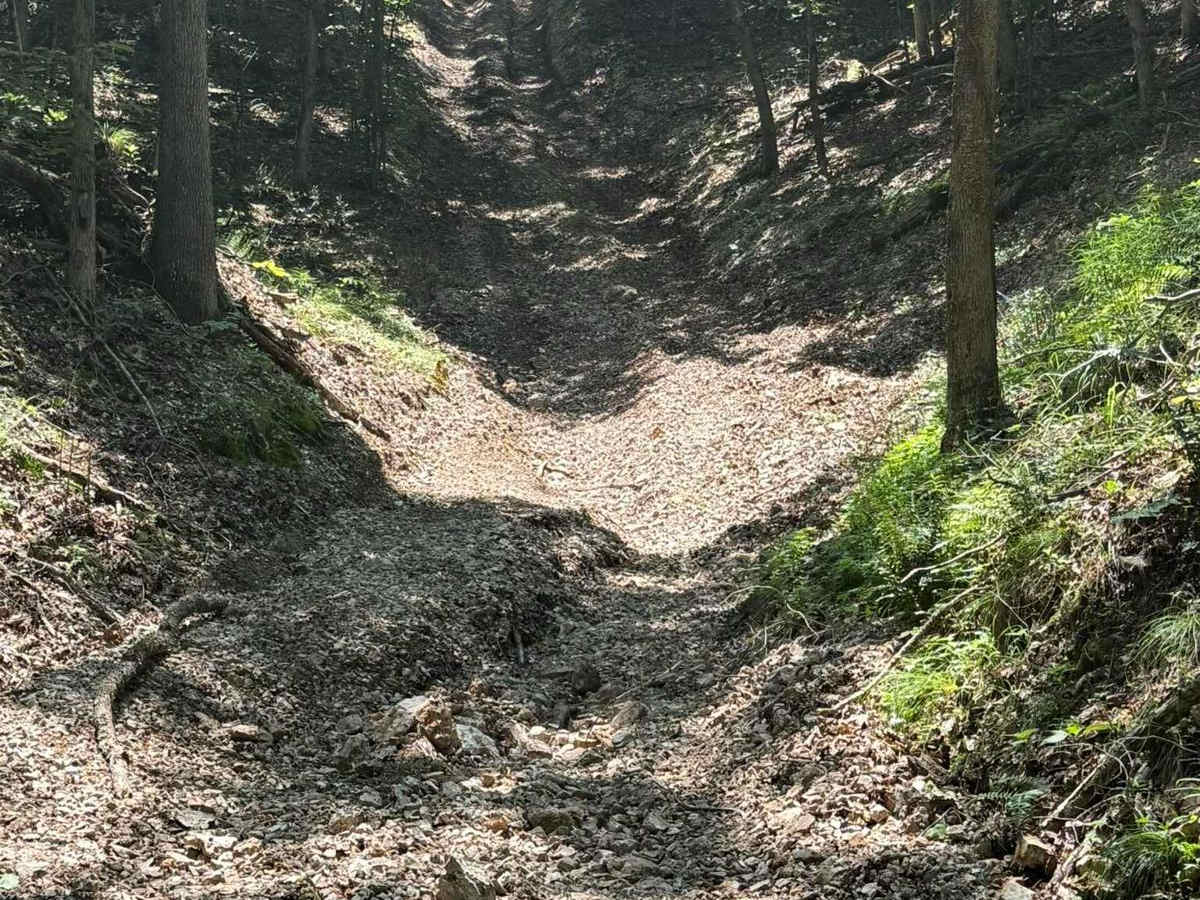 Jenny's Trail photo 2