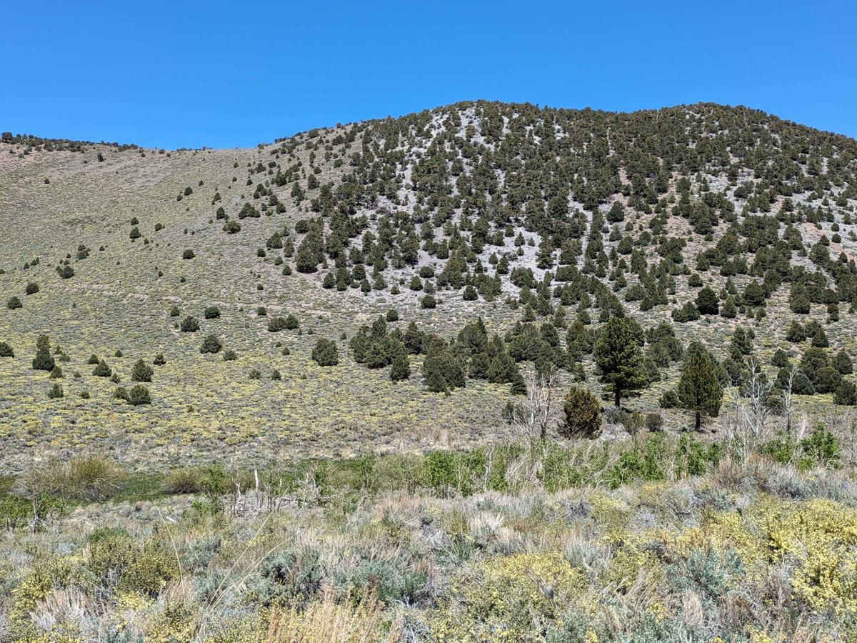 IN05 to Roberts Station photo 6