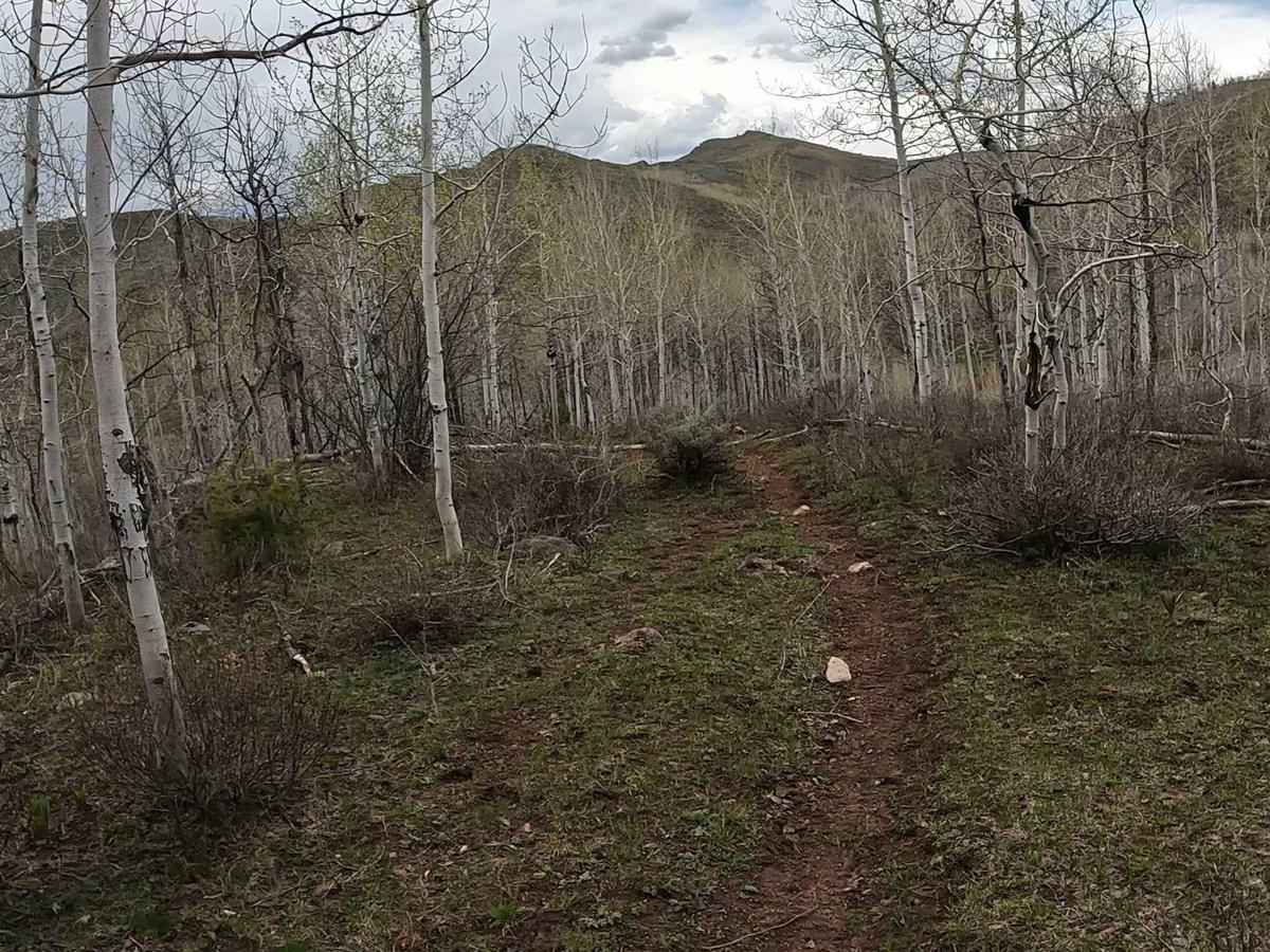 White Dugway photo 3