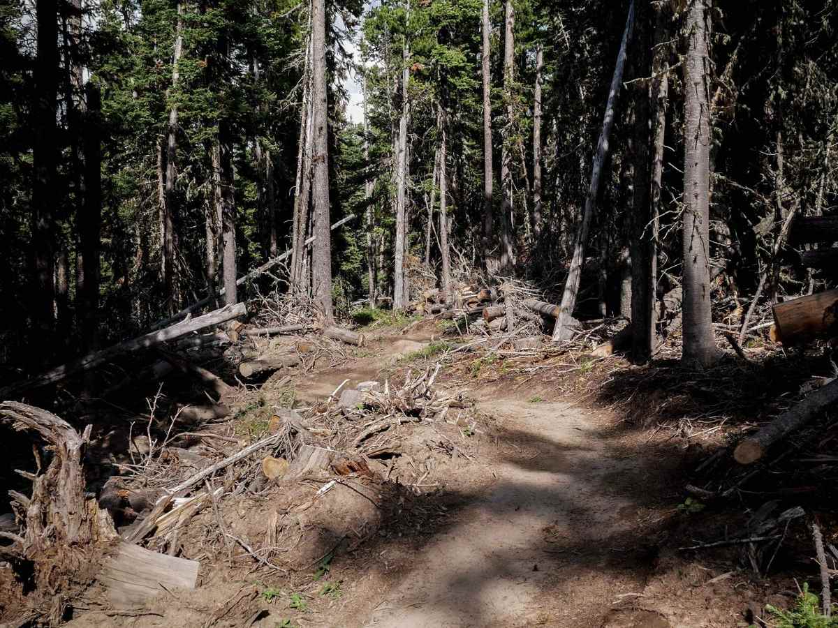 Bangtail Divide photo 6